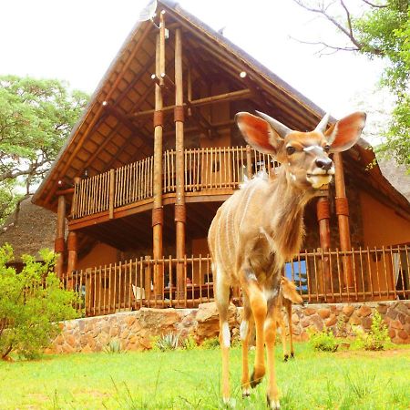 Kololo Game Reserve Vaalwater Esterno foto