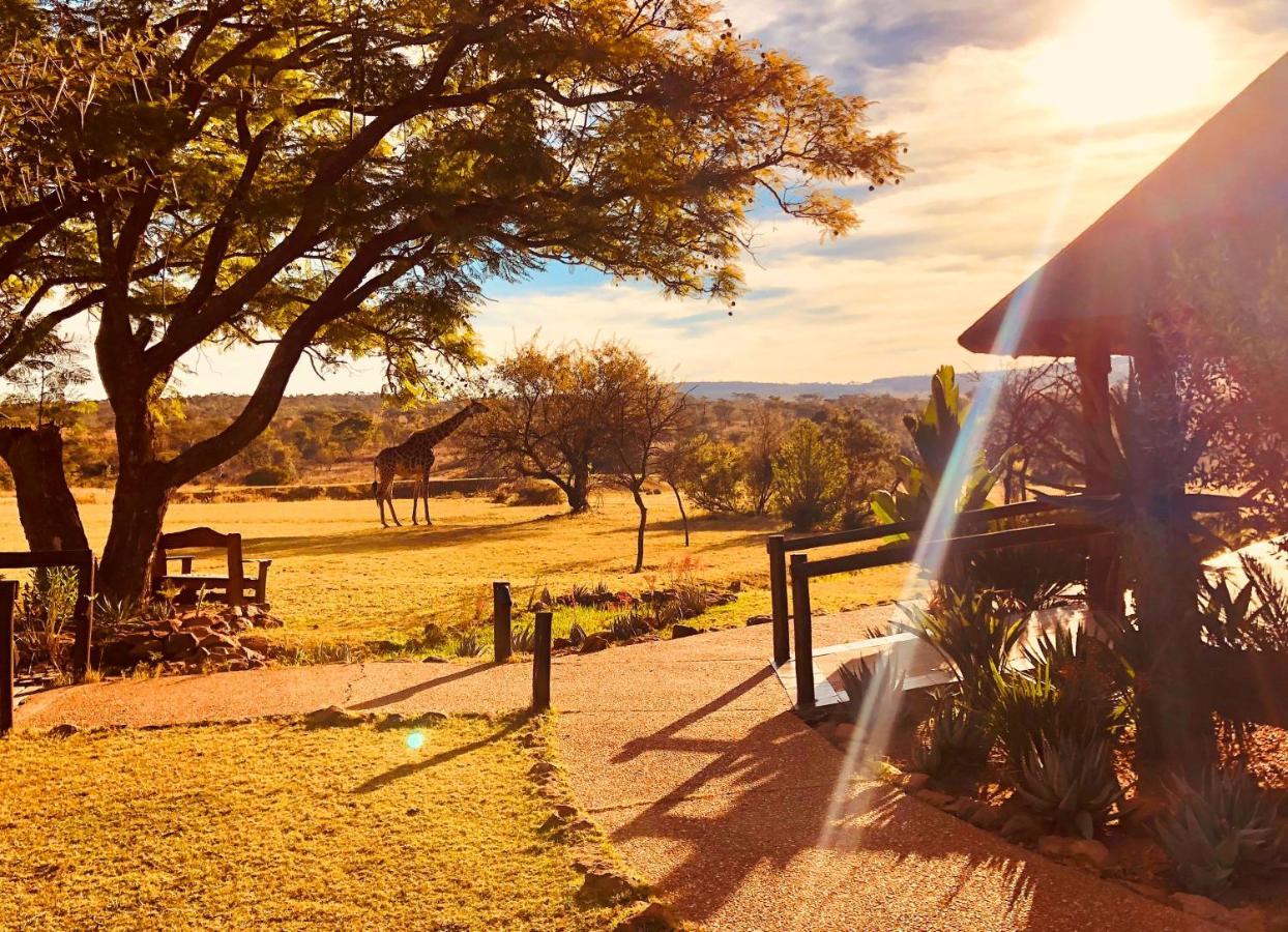 Kololo Game Reserve Vaalwater Esterno foto