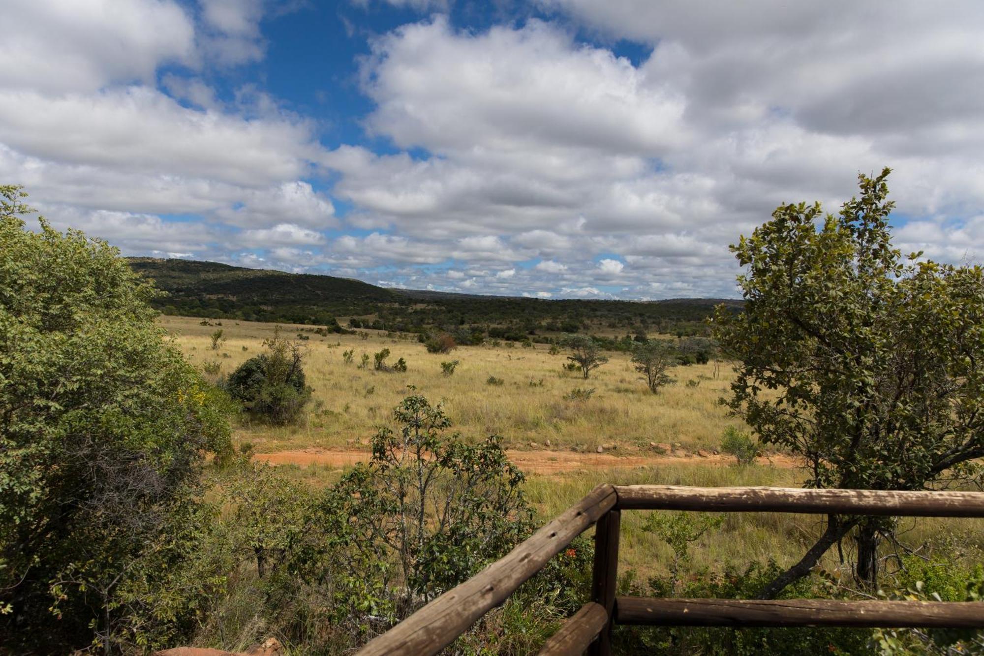 Kololo Game Reserve Vaalwater Esterno foto