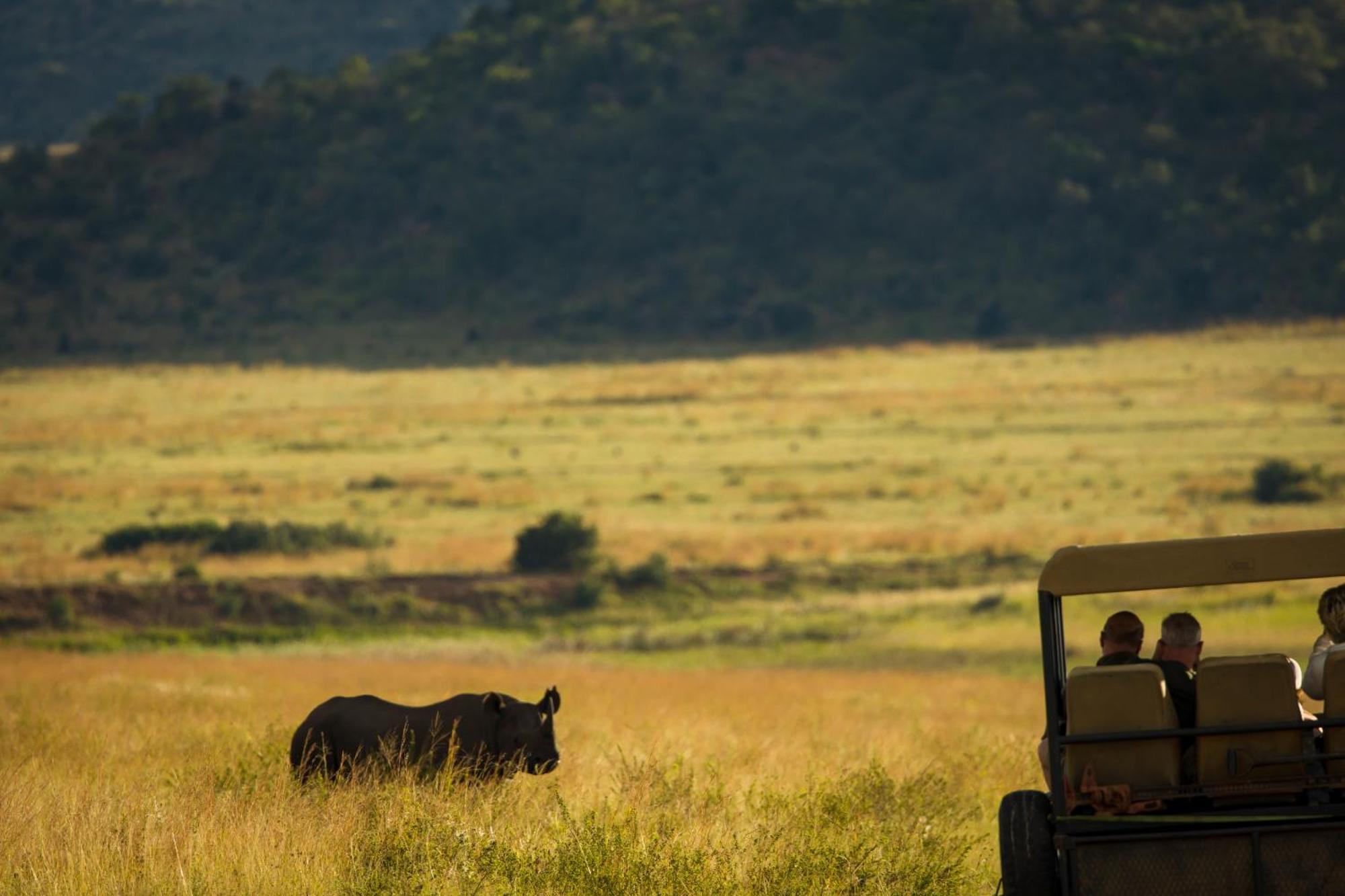 Kololo Game Reserve Vaalwater Esterno foto