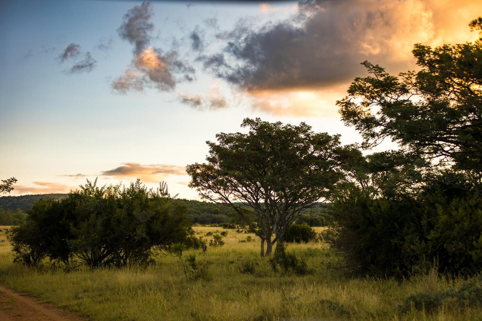 Kololo Game Reserve Vaalwater Esterno foto