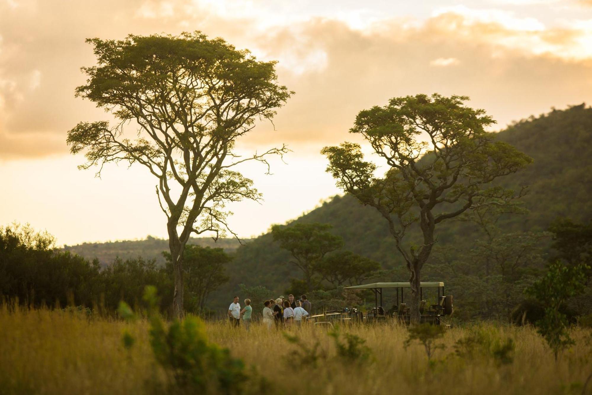 Kololo Game Reserve Vaalwater Esterno foto